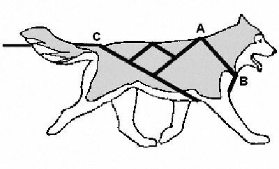 Шлейка №25/1 кожаная ездовая (лайка, овчарка) черная