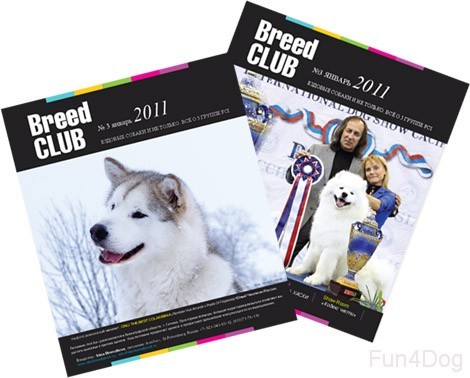 Журнал "Breed Club". № 3, январь 2011.
